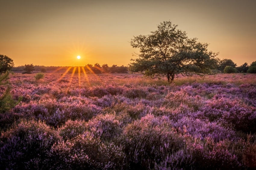 KIVI Regionale afdeling Gelderland