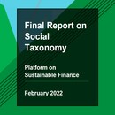 20220228-picture-report-on-social-taxonomy-2.jpg